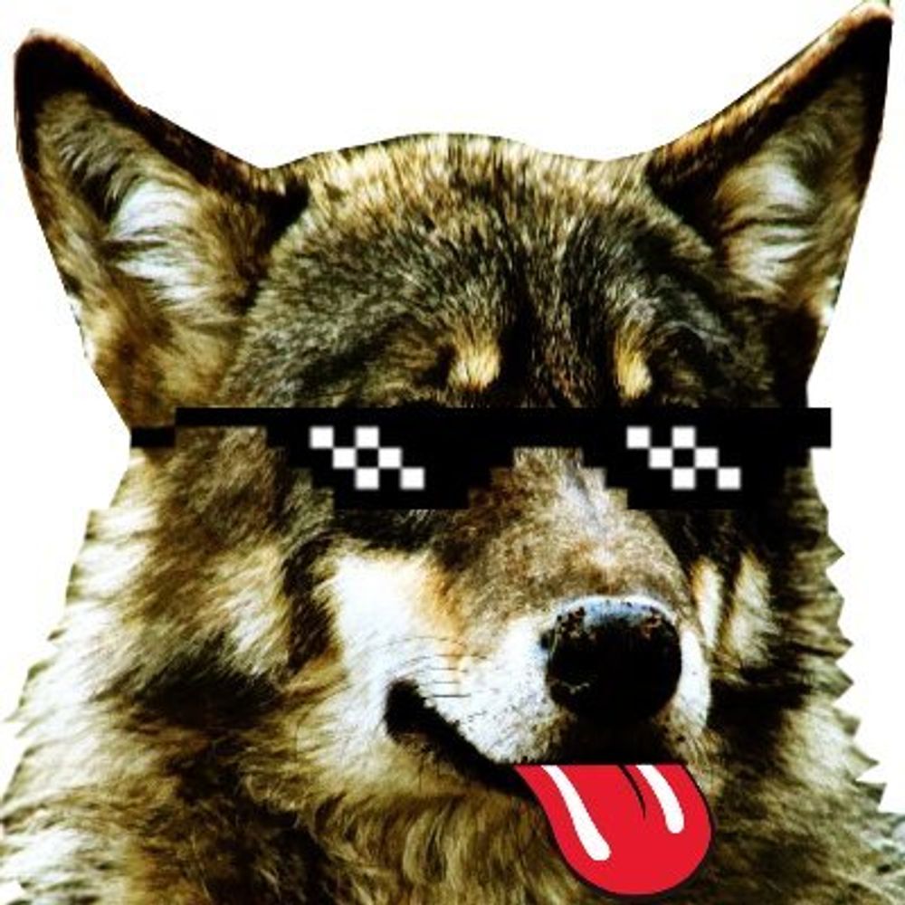 Chaine Youtube Nintenloup